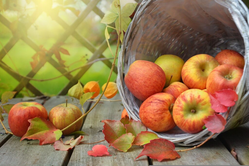 Prepara cuerpo y mente para el otoño - manzanas