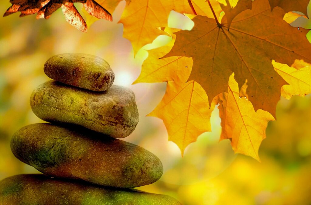 Prepara cuerpo y mente para el otoño - zen